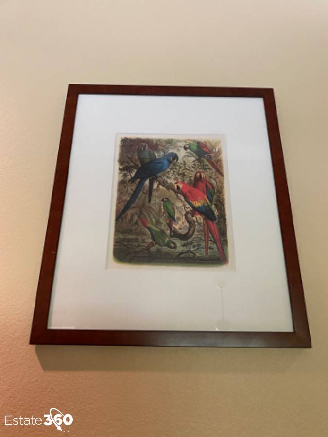 The Raschella Collection Tropical Birds Ii Framed And Matted Art Print Auction Estate 360