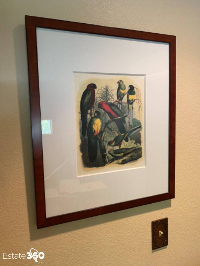 The Raschella Collection Tropical Birds Framed And Matted Art Print Auction Estate 360